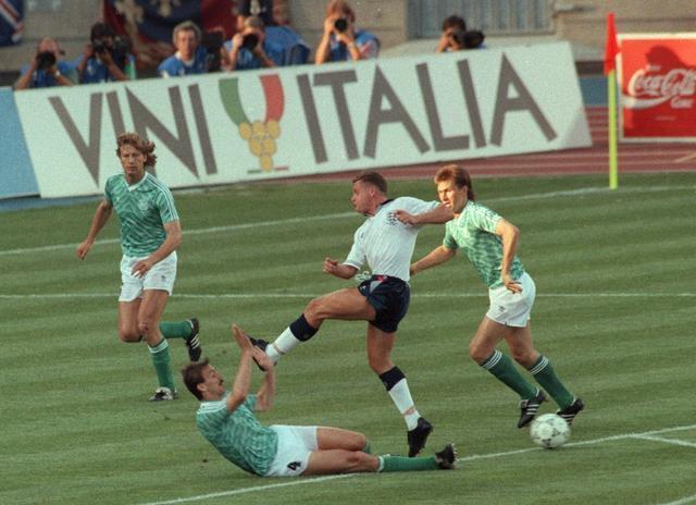 大到中小型 大到中小型