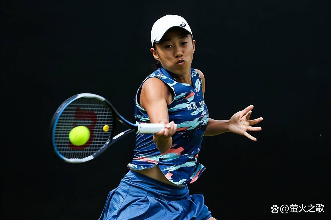 不仅提高了 不仅提高了