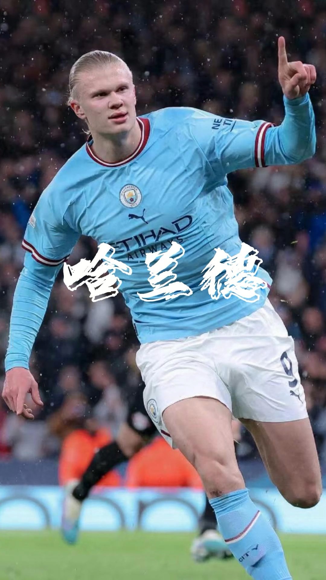尼古拉 尼古拉